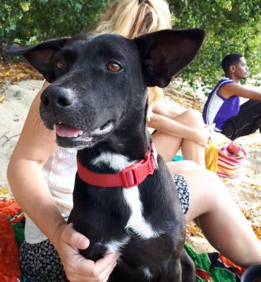 Jon, Rachel, Audrey, & Henry.  Vancouver, Canada.  Stayed at our Hummingbird Deck apartment.
